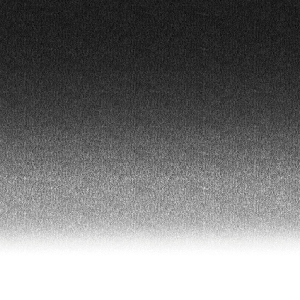 white_fade_2_1_1.jpg