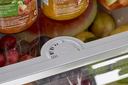 Refrigerator 12-24 volts Unique UGP-325L1 11.4 picu