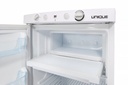 Unique UGP-3 3.4 picu propane refrigerator