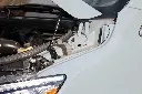 Moonraker Sprinter Van Hood Strut Kit | Tec Van Edition