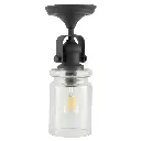 Ceiling Semi-Flush Mounted Light