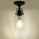 Ceiling Semi-Flush Mounted Light