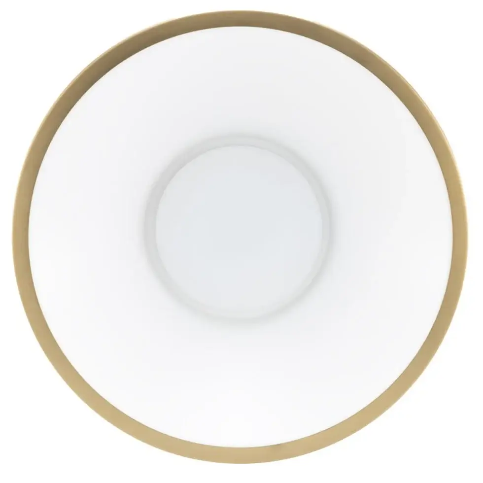 RV Flush Mount Ceiling Light | 12V LED | Interior Lighting | Matte Black & Gold Trim Finish