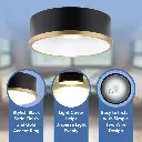 RV Flush Mount Ceiling Light | 12V LED | Interior Lighting | Matte Black & Gold Trim Finish