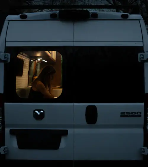 Rear Door Insulated Window Covers – Promaster 2014+