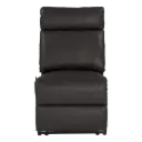 Thomas Payne Heritage Series RV Theater Seating Armless Recliner