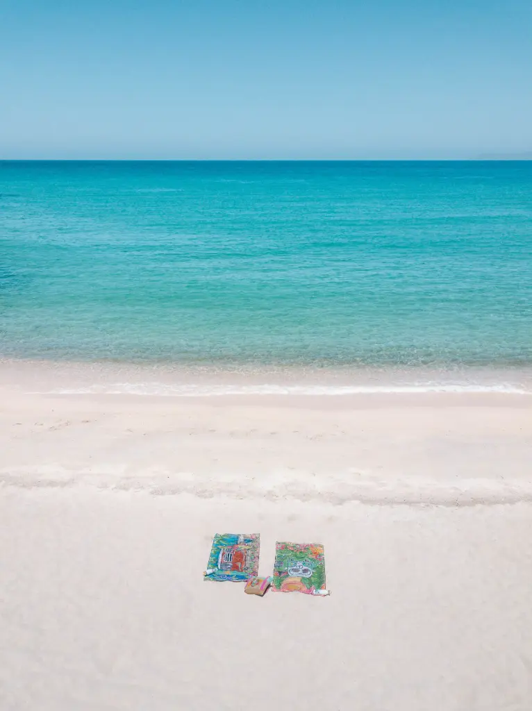 Article de blog 'Our demo van: a project designed to inspire your vanlife' cover image.webp