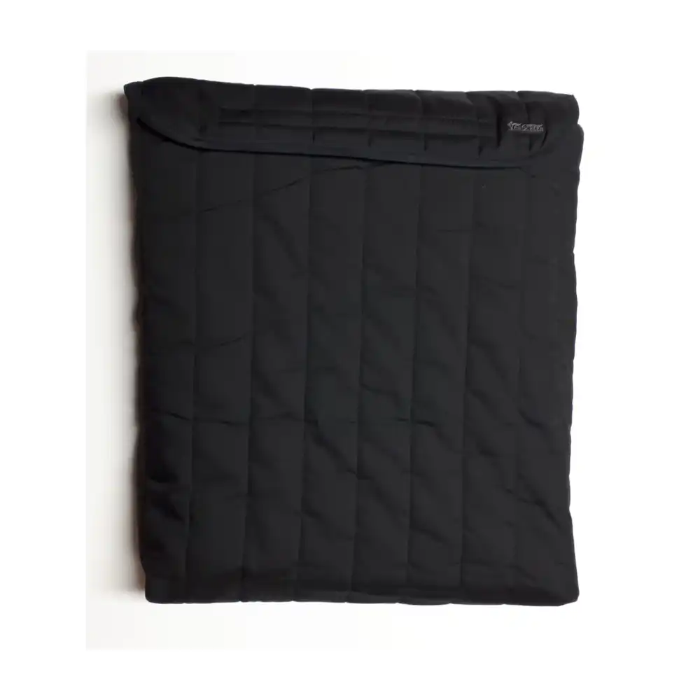 Van-Screen Mosquito Screens for Ram ProMaster & Fiat Ducato (2013+)