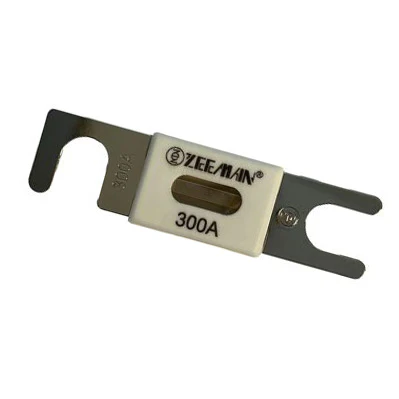 Victron Energy - ANL-fuse 300A 80V fuse