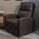 Thomas Payne RV Swivel Pushback Recliner