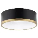 RV Flush Mount Ceiling Light | 12V LED | Interior Lighting | Matte Black & Gold Trim Finish