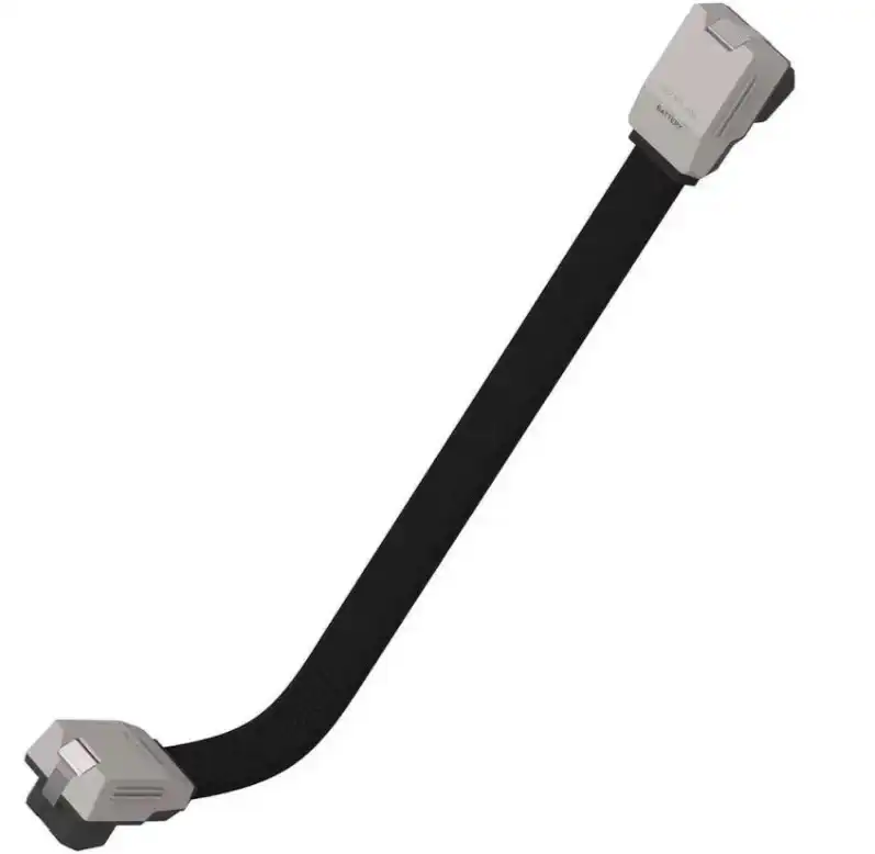 Câble d'alimentation pour batterie EcoFlow LFP
