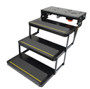 23 Series Step Assembly with Logic Control Unit and Power Switch Kit 