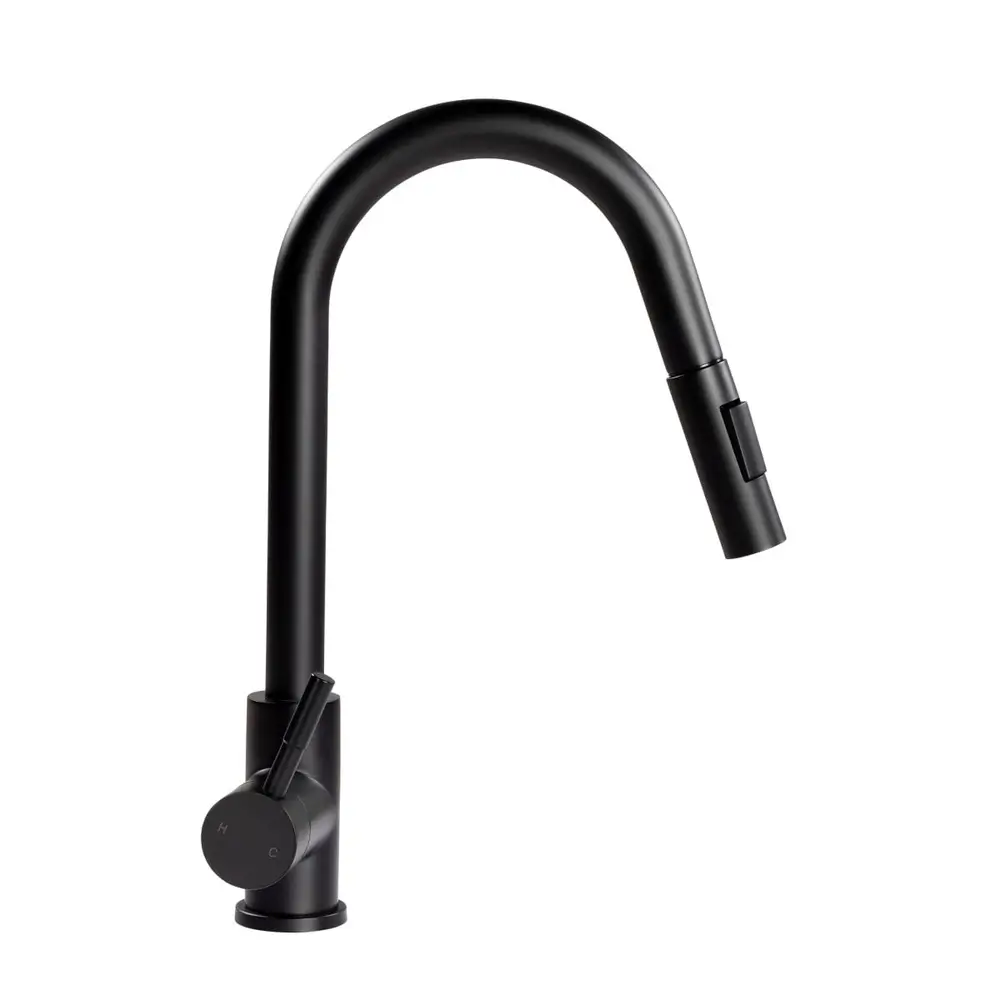 Flow Max™ Bullet Pull-Down Kitchen Faucet 