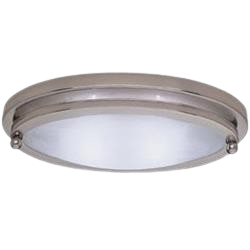 Oval Ceiling Light
