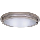 Oval  Ceiling Light