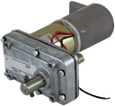 Gear Motor with Pin and Bolt - Dual Shaft (Mid Torque)