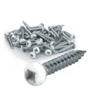 RV Phillips Screws | Pan Head | 8x1" | White 